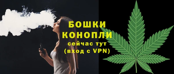 сатива Зеленодольск