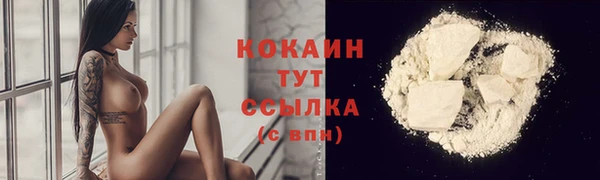 сатива Зеленодольск