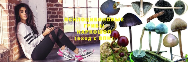 соль ск Зеленокумск