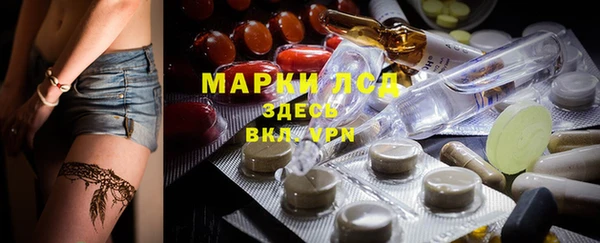 сатива Зеленодольск