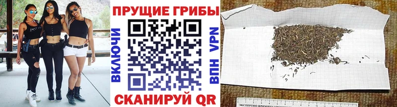 Купить где  Бугуруслан  Псилоцибиновые грибы Cubensis 